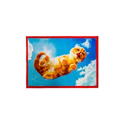 square cat   Seletti华体买球品牌